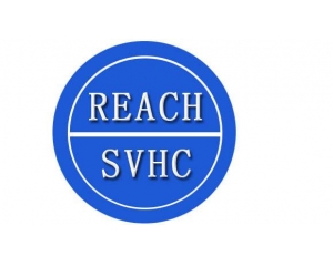 REACH(bo)Чڶ?REACHzy(c)ڶ